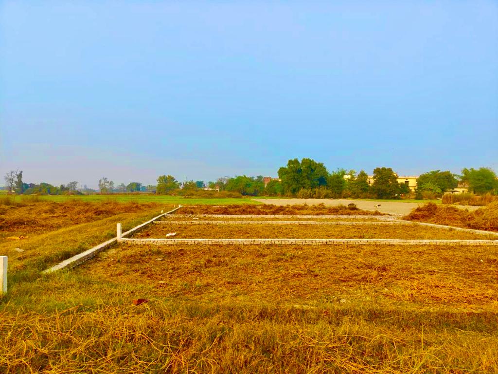 Plot in kushinagar